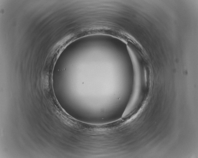 X0000080740777200612151248