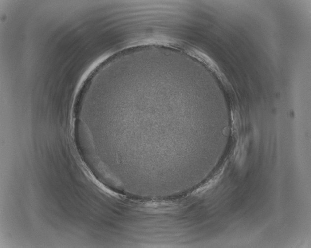 X0000080740780200612151248