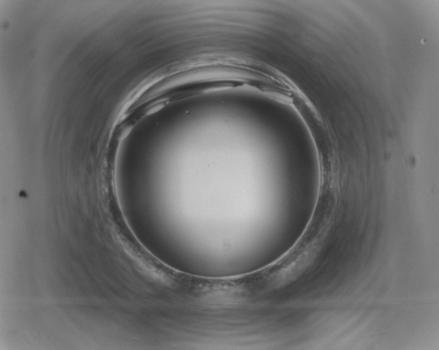 X0000080740786200612151248