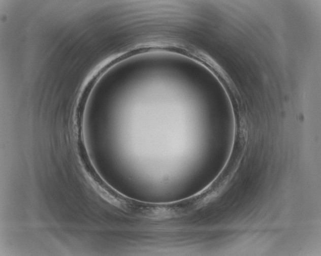 X0000080740787200612151248