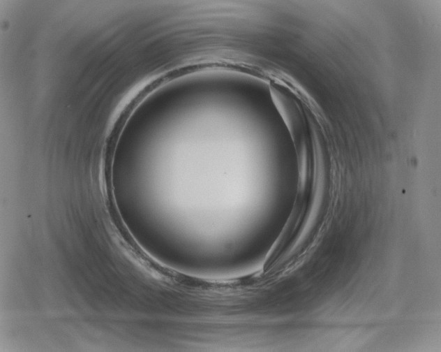 X0000080740788200612151248