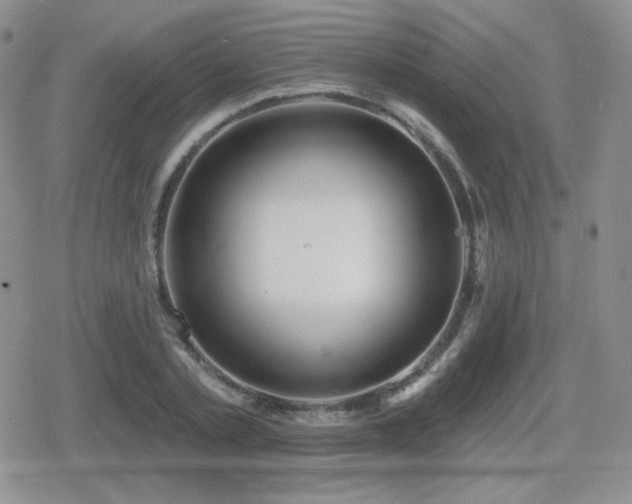 X0000080740789200612151248