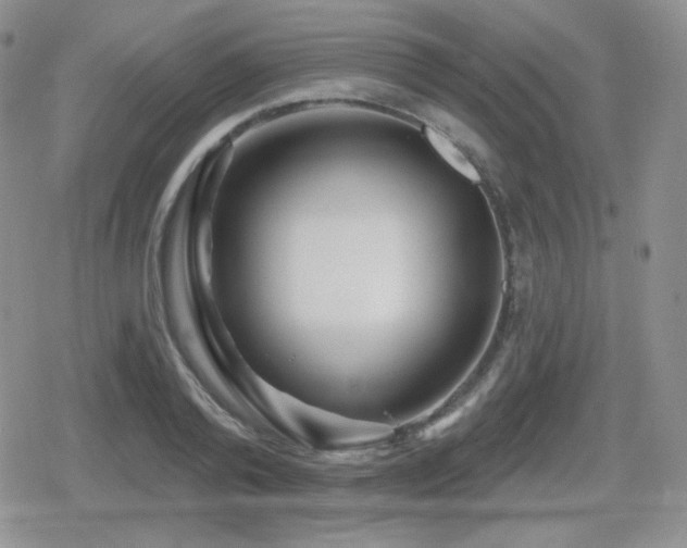 X0000080740792200612151248