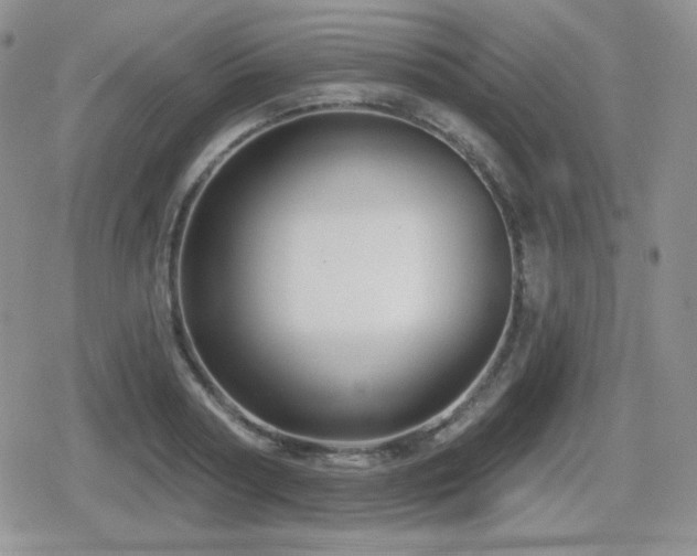 X0000080740794200612151248