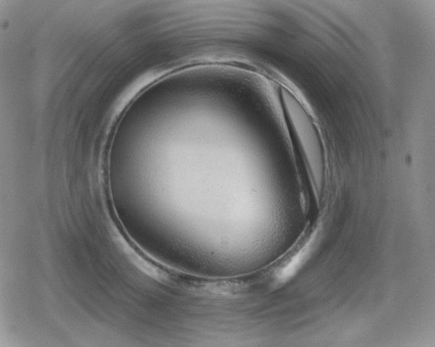 X0000080740803200612151248