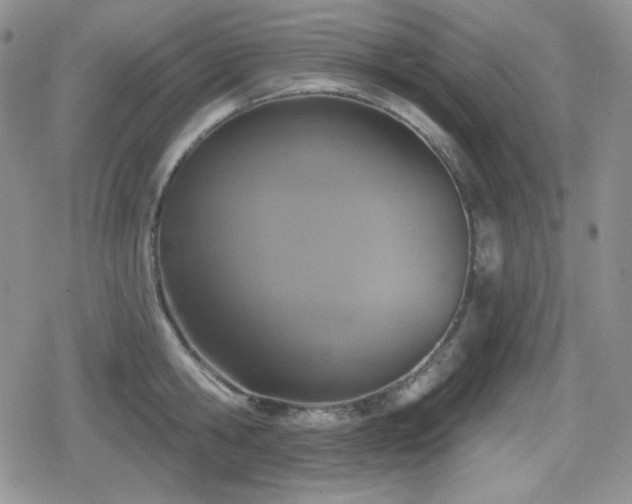 X0000080740806200612151248