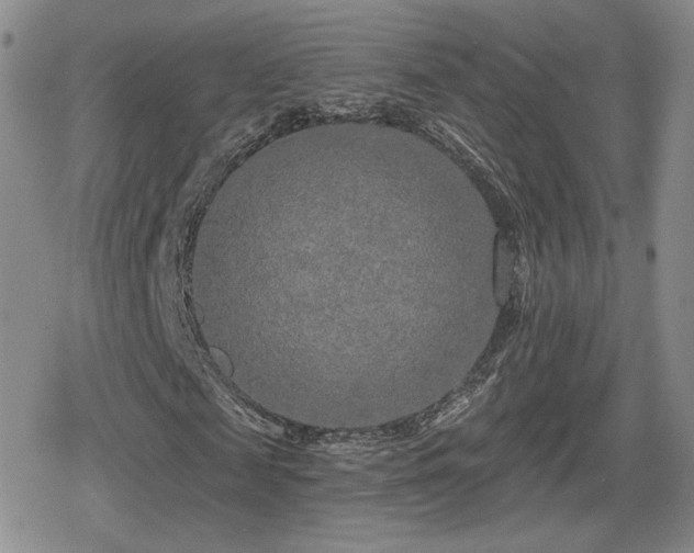 X0000080740817200612151247