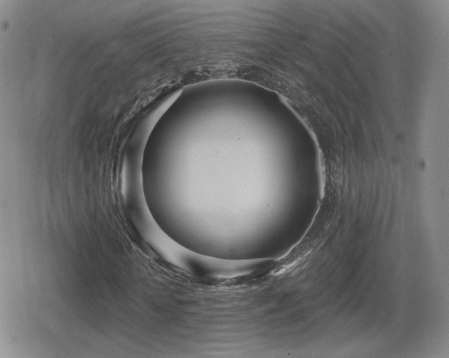 X0000080740818200612151247