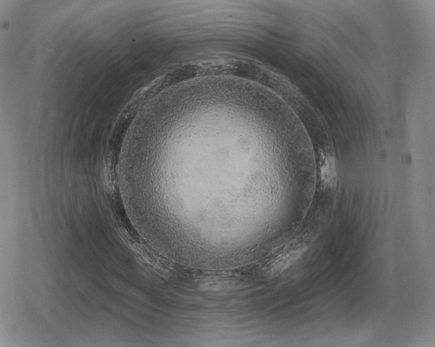 X0000080740819200612151247