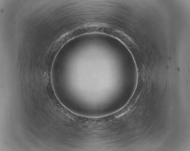 X0000080740821200612151247