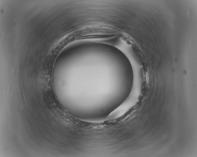 X0000080740822200612151247