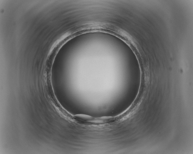 X0000080740827200612151247