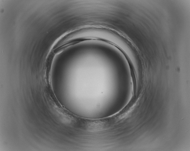 X0000080740830200612151247