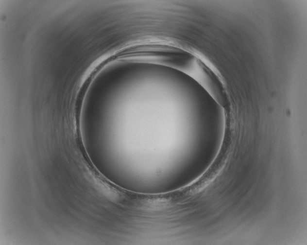 X0000080740837200612151247