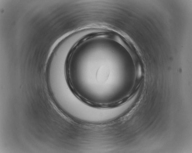 X0000080740838200612151247