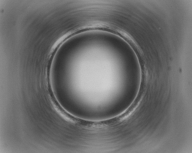 X0000080740842200612151247
