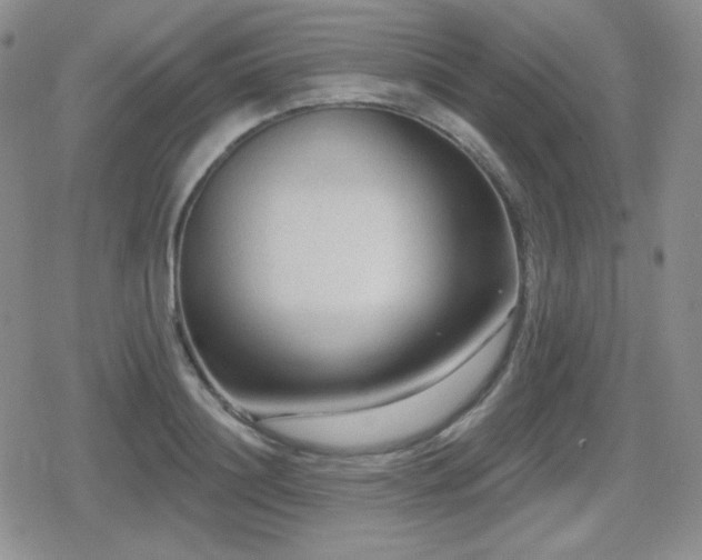 X0000080740844200612151247