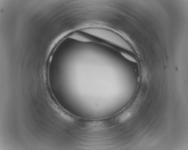 X0000080740846200612151247