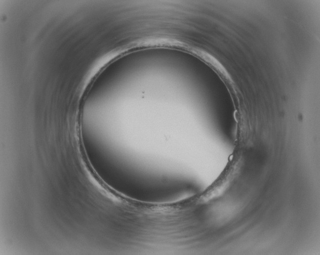 X0000080740847200612151247