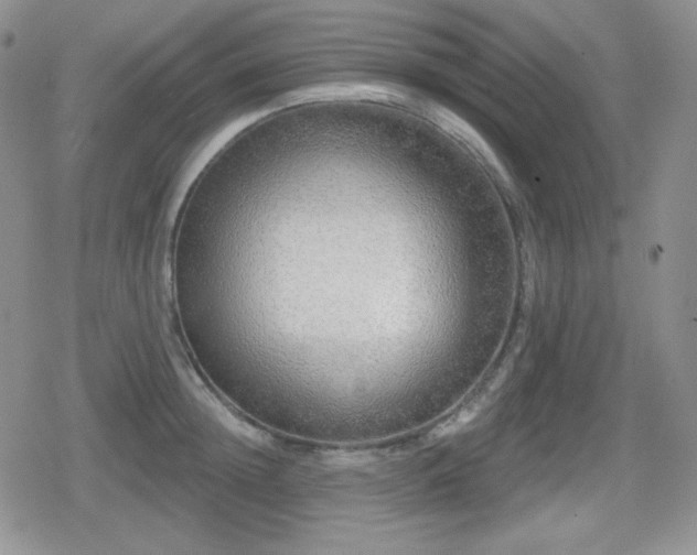 X0000080740852200612151247