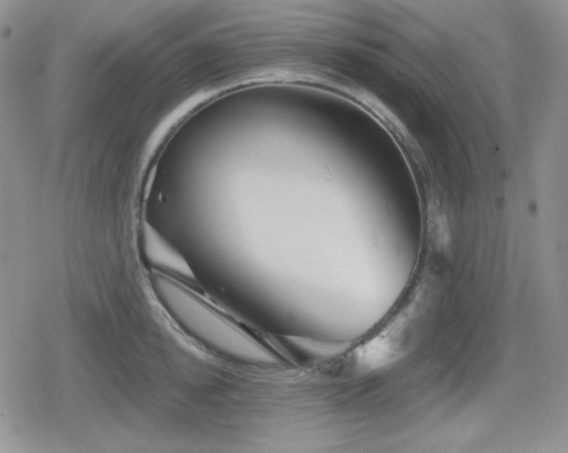 X0000080740854200612151247