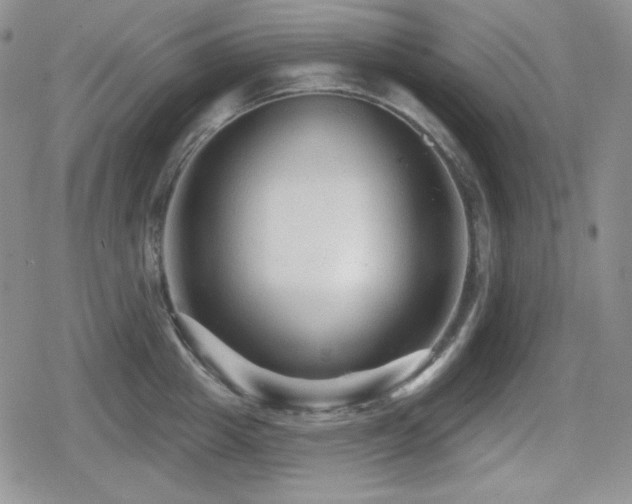 X0000080740857200612151247