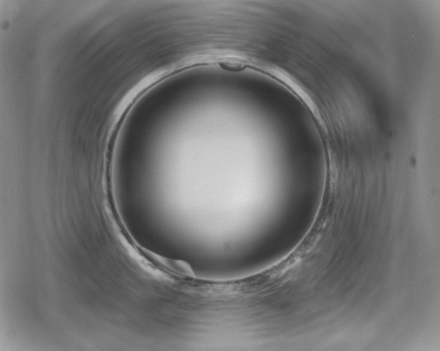 X0000080740861200612151248