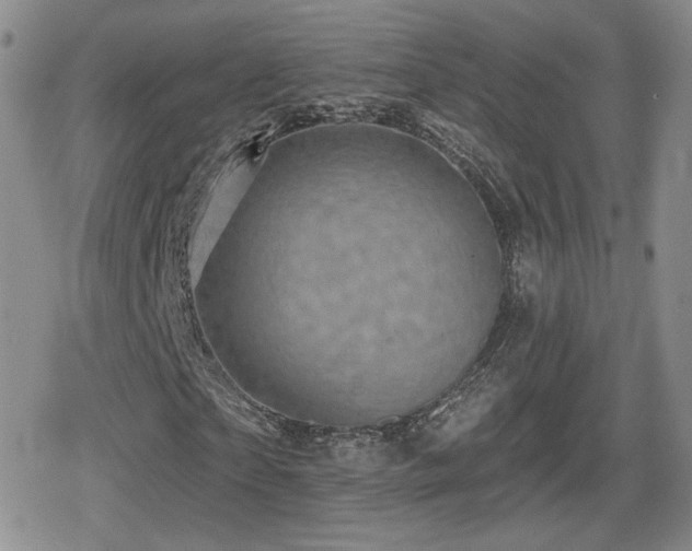 X0000080740865200612151247