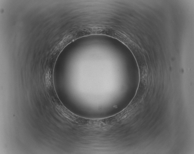 X0000080740866200612151247