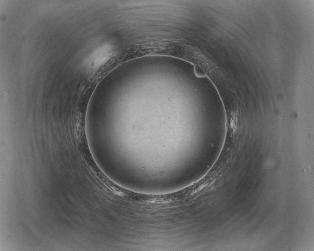 X0000080740867200612151247