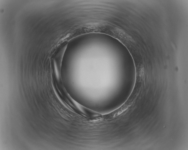 X0000080740868200612151247
