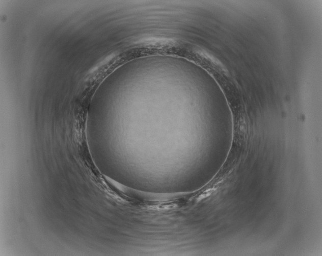 X0000080740869200612151247