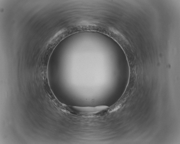 X0000080740870200612151247