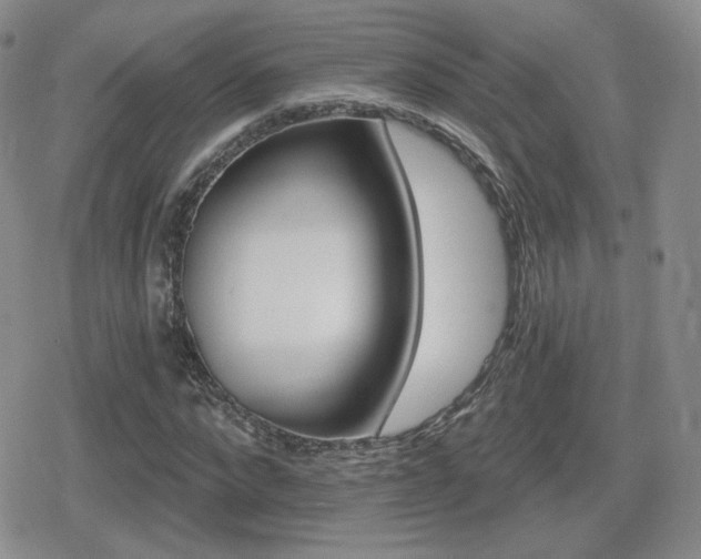X0000080740872200612151247