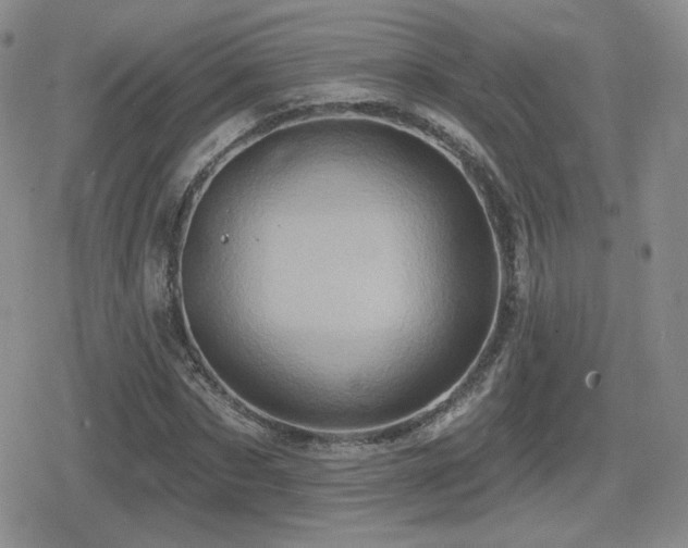 X0000080740873200612151247