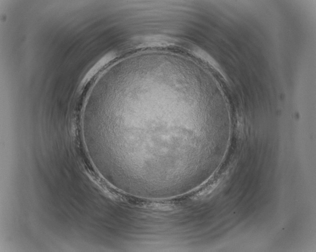 X0000080740874200612151247