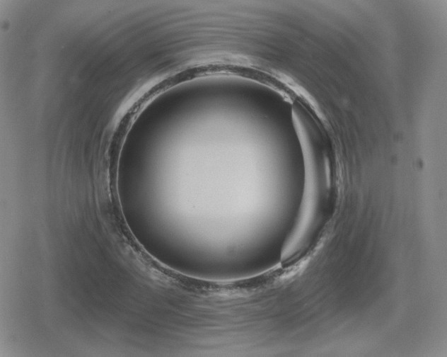 X0000080740877200612151247
