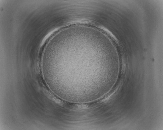 X0000080740878200612151247