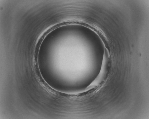 X0000080740880200612151247