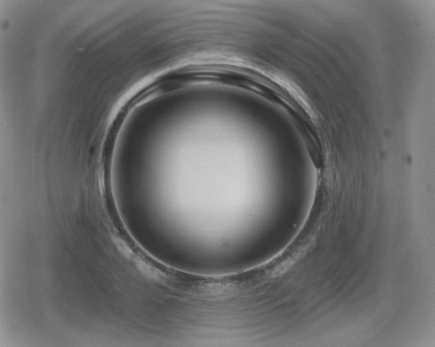 X0000080740888200612151246