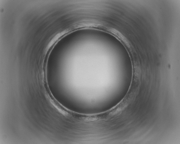 X0000080740890200612151246