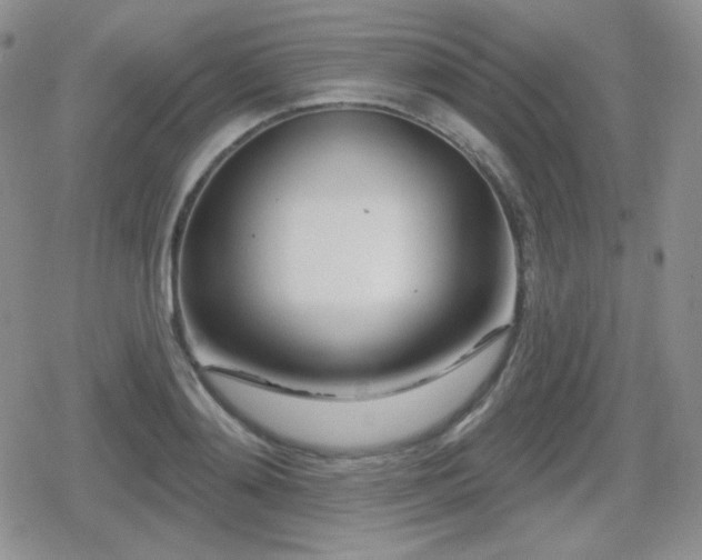 X0000080740892200612151246