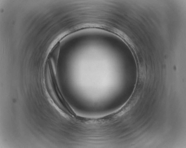 X0000080740898200612151246