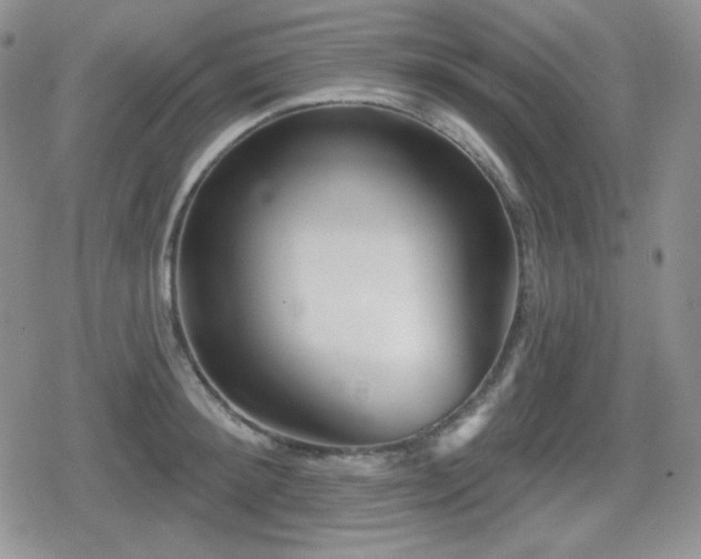 X0000080740900200612151246