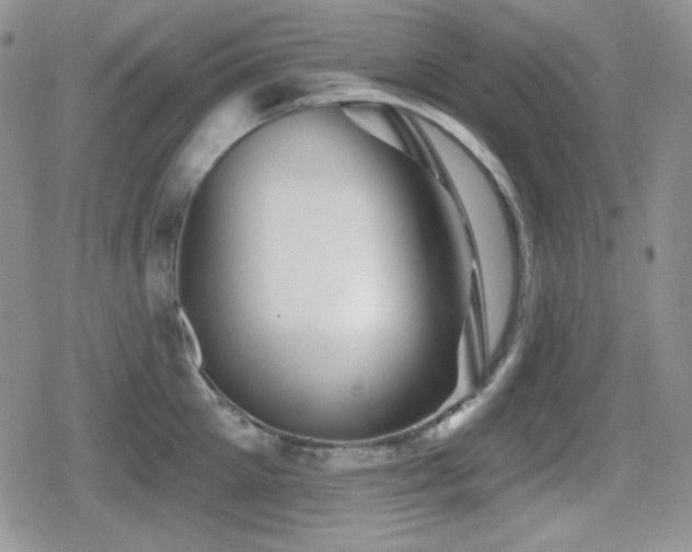 X0000080740905200612151246