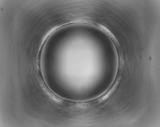 X0000080740908200612151246