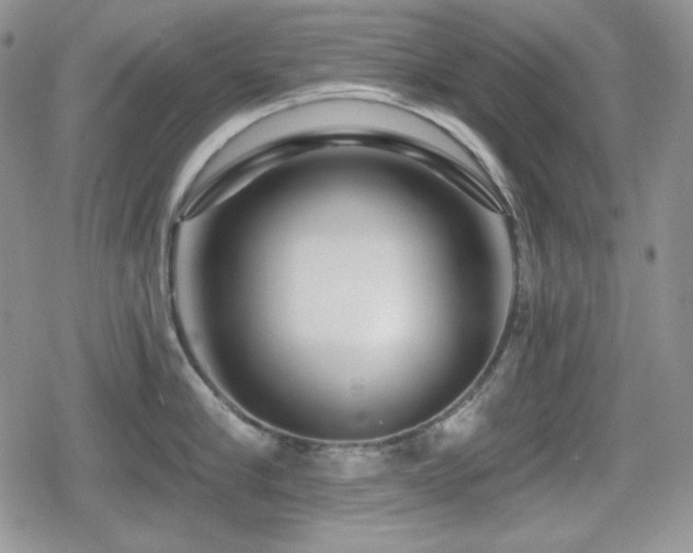 X0000080740910200612151246