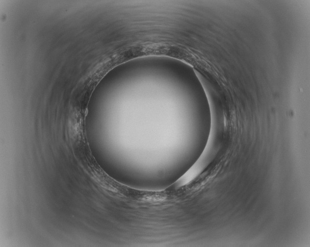 X0000080740914200612151245