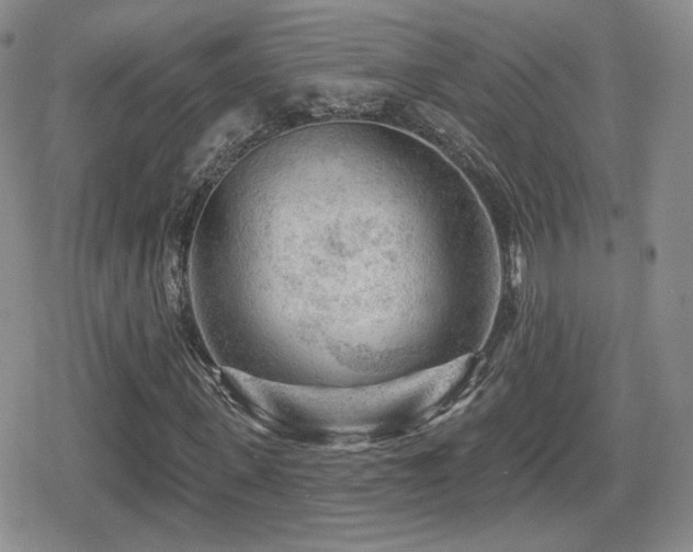 X0000080740915200612151245