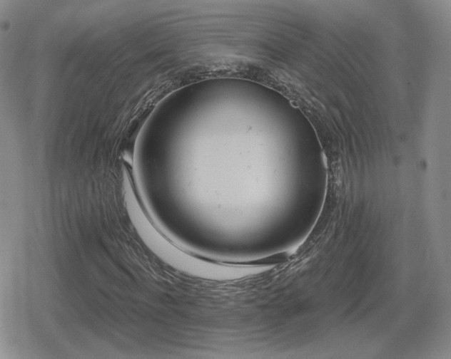 X0000080740916200612151245